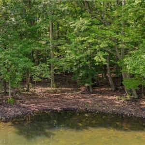 Photo #17 of 1006 Rocky Cove, Denton, NC 1.0 acres