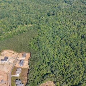 Photo #6 of 7683 Manderley, Oak Ridge, NC 10.1 acres