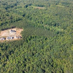 Photo #9 of 7683 Manderley, Oak Ridge, NC 10.1 acres