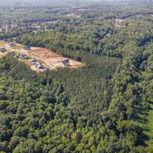 Photo #10 of 7683 Manderley, Oak Ridge, NC 10.1 acres