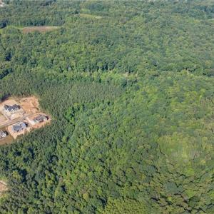 Photo #8 of 7683 Manderley, Oak Ridge, NC 10.1 acres