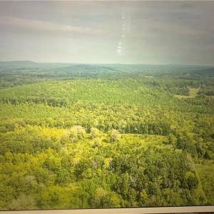 Photo #2 of Johnson, Denton, NC 37.3 acres