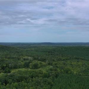 Photo #1 of Johnson, Denton, NC 37.3 acres