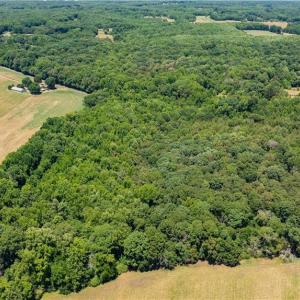 Photo #6 of Fork Creek Mill, Seagrove, NC 28.3 acres