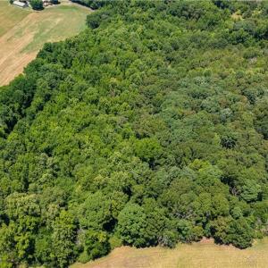 Photo #7 of Fork Creek Mill, Seagrove, NC 28.3 acres