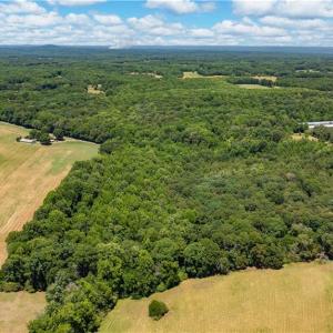 Photo #5 of Fork Creek Mill, Seagrove, NC 28.3 acres