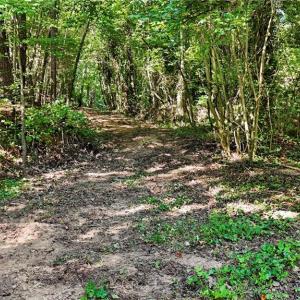 Photo #4 of Pinehaven, New London, NC 0.3 acres