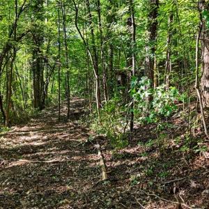 Photo #6 of Pinehaven, New London, NC 0.7 acres