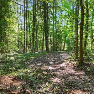 Photo #7 of Pinehaven, New London, NC 0.7 acres