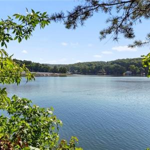 Photo #1 of Pinehaven, New London, NC 0.7 acres