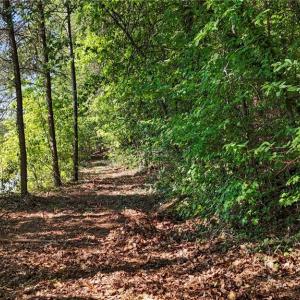 Photo #5 of Pinehaven, New London, NC 0.7 acres