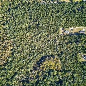 Photo #23 of 110 Hewett Burton, Leland, NC 4.9 acres