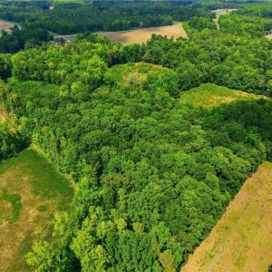 Photo #15 of 353 Huffine Mill, McLeansville, NC 42.7 acres