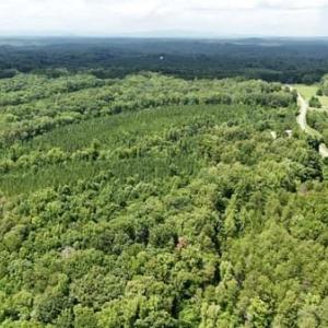 Photo #3 of Bunker Hill, Walnut Cove, NC 21.9 acres