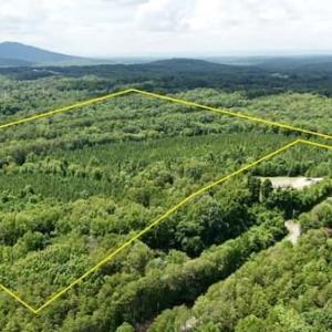 Photo #1 of Bunker Hill, Walnut Cove, NC 21.9 acres