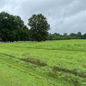 Photo #18 of 443 Arthur Tussey, Lexington, NC 2.0 acres
