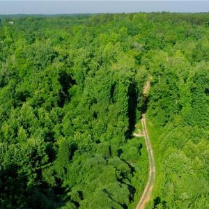 Photo #17 of Todd, Advance, NC 22.5 acres