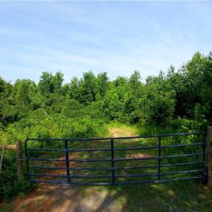 Photo #16 of Todd, Advance, NC 22.5 acres