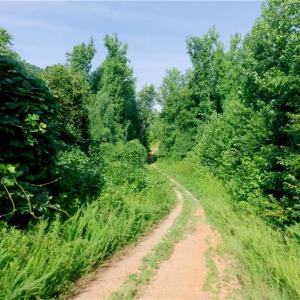 Photo #12 of Todd, Advance, NC 22.5 acres