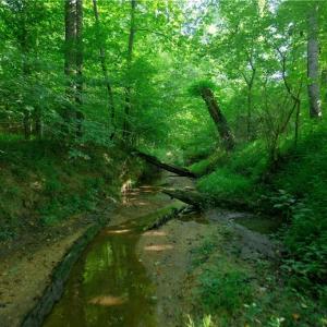 Photo #26 of Todd, Advance, NC 22.5 acres
