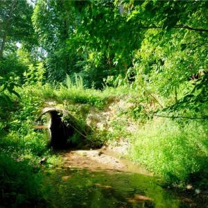 Photo #22 of Todd, Advance, NC 22.5 acres