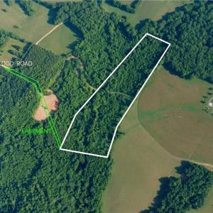 Photo #7 of Todd, Advance, NC 22.5 acres