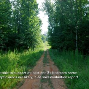 Photo #9 of Todd, Advance, NC 22.5 acres