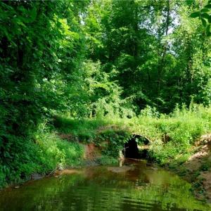 Photo #34 of Todd, Advance, NC 22.5 acres