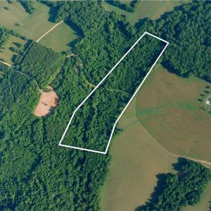 Photo #37 of Todd, Advance, NC 22.5 acres