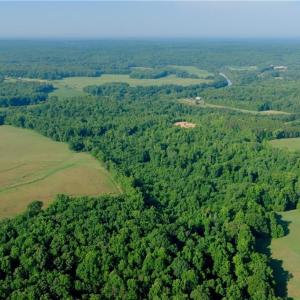Photo #15 of Todd, Advance, NC 22.5 acres