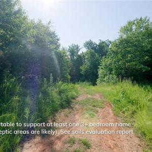 Photo #11 of Todd, Advance, NC 22.5 acres