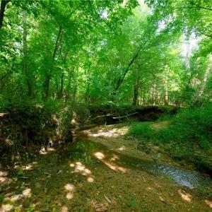 Photo #35 of Todd, Advance, NC 22.5 acres