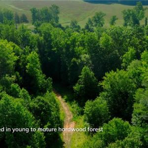 Photo #8 of Todd, Advance, NC 22.5 acres