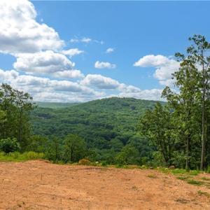 Photo #2 of Fawn, Asheboro, NC 43.2 acres