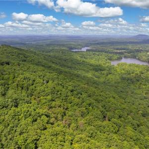 Photo #12 of Fawn, Asheboro, NC 43.2 acres