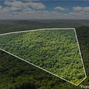 Photo #9 of Fawn, Asheboro, NC 43.2 acres