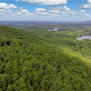 Photo #11 of Fawn, Asheboro, NC 43.2 acres