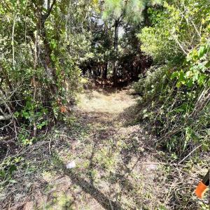 Photo #1 of TBD Middle Road, Ocracoke, NC 0.1 acres