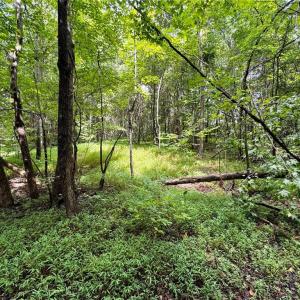 Photo #2 of Lot 2 Cypress, Reidsville, NC 0.7 acres