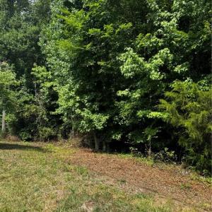 Photo #6 of Lot 3 South Park, Reidsville, NC 0.7 acres