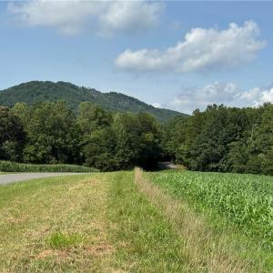 Photo #17 of EDWARDS FARM, King, NC 33.7 acres