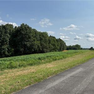 Photo #20 of EDWARDS FARM, King, NC 33.7 acres