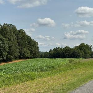 Photo #18 of EDWARDS FARM, King, NC 33.7 acres
