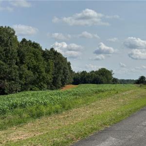 Photo #19 of EDWARDS FARM, King, NC 33.7 acres