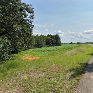 Photo #21 of EDWARDS FARM, King, NC 33.7 acres