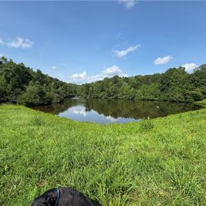 Photo #6 of Edwards Farm, King, NC 22.0 acres