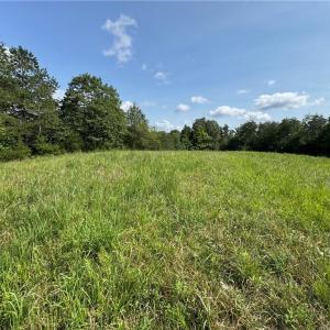 Photo #7 of Edwards Farm, King, NC 22.0 acres