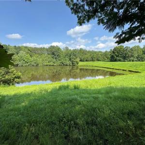 Photo #5 of Edwards Farm, King, NC 22.0 acres