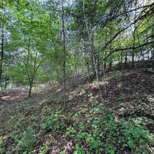 Photo #9 of Edwards Farm, King, NC 22.0 acres