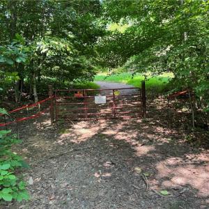 Photo #10 of Edwards Farm, King, NC 22.0 acres